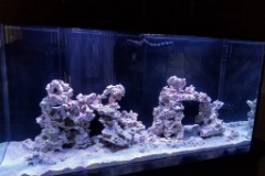 90 SW Reef